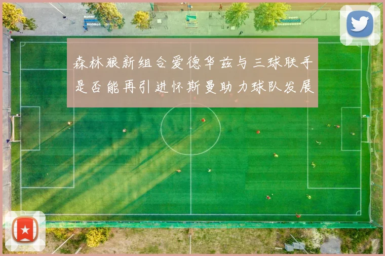 森林狼新组合爱德华兹与三球联手是否能再引进怀斯曼助力球队发展
